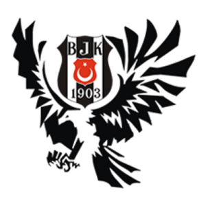Beşiktaş Cam, 0532 245 00 78, 0542 220 40 32