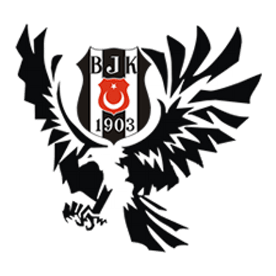 Beşiktaş Cam, 0532 245 00 78, 0542 220 40 32